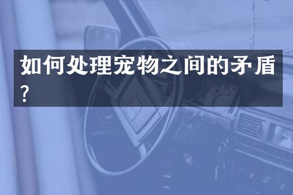 如何处理宠物之间的矛盾？