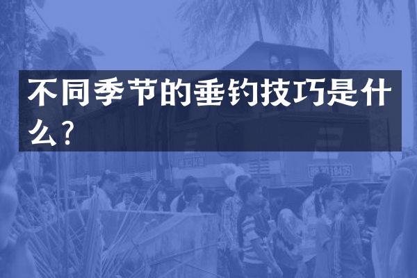 不同季节的垂钓技巧是什么？