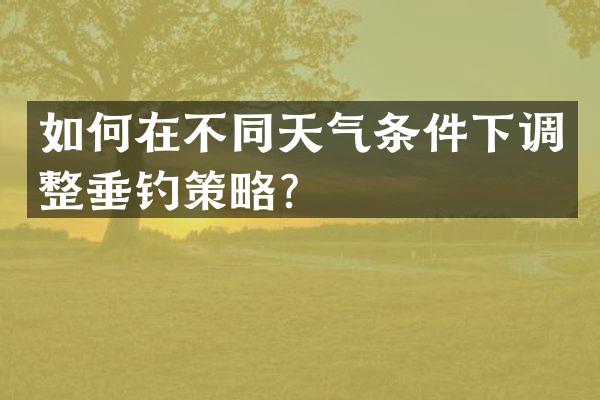 如何在不同天气条件下调整垂钓策略？
