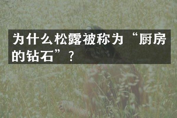 为什么松露被称为“厨房的钻石”？