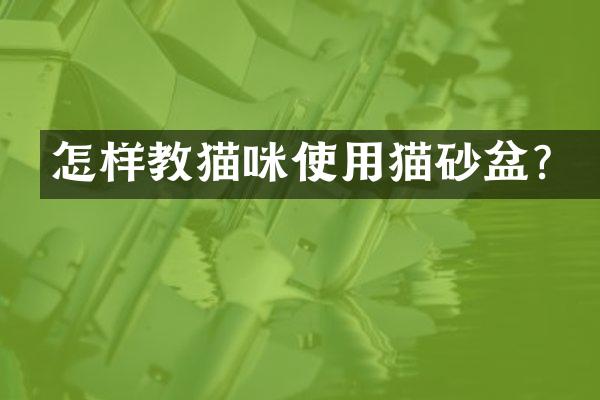 怎样教猫咪使用猫砂盆？