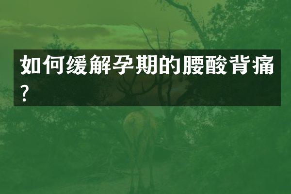 如何缓解孕期的腰酸背痛？