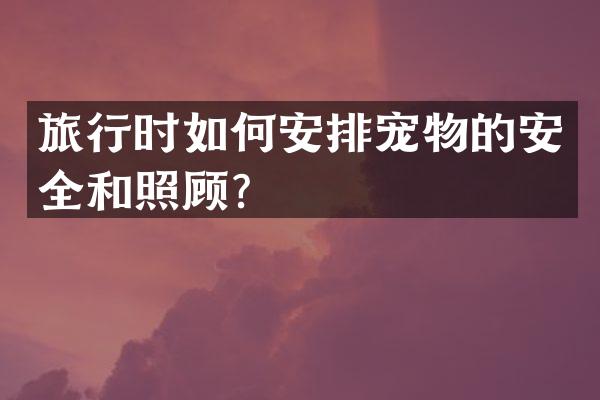 旅行时如何安排宠物的安全和照顾？