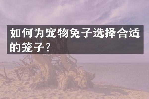 如何为宠物兔子选择合适的笼子？