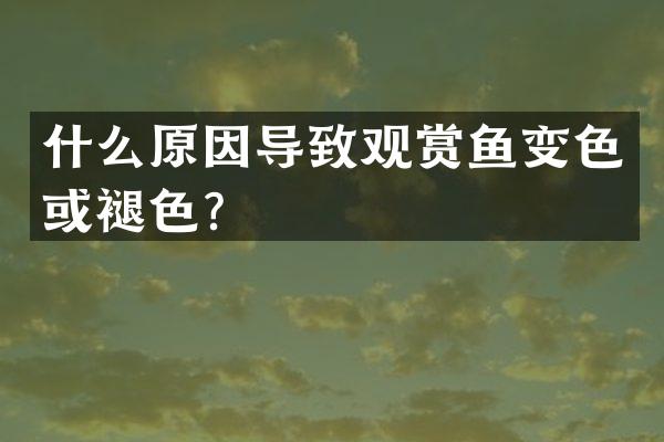什么原因导致观赏鱼变色或褪色？