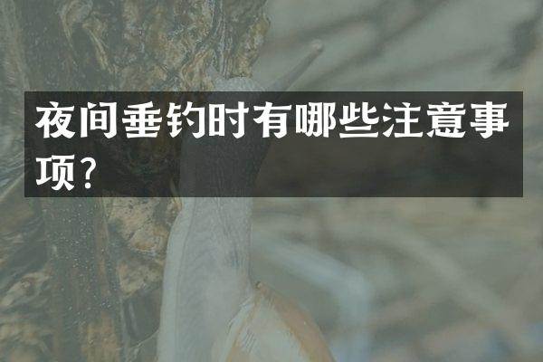 夜间垂钓时有哪些注意事项？