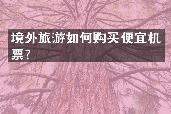 境外旅游如何购买便宜机票？