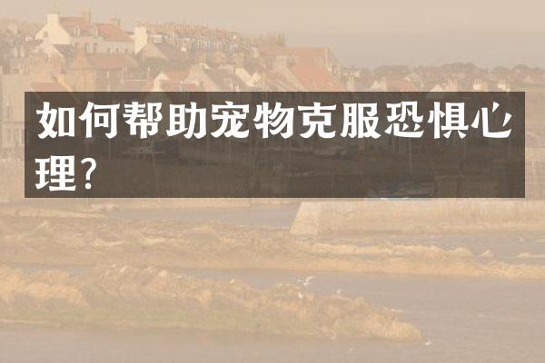 如何帮助宠物克服恐惧心理？
