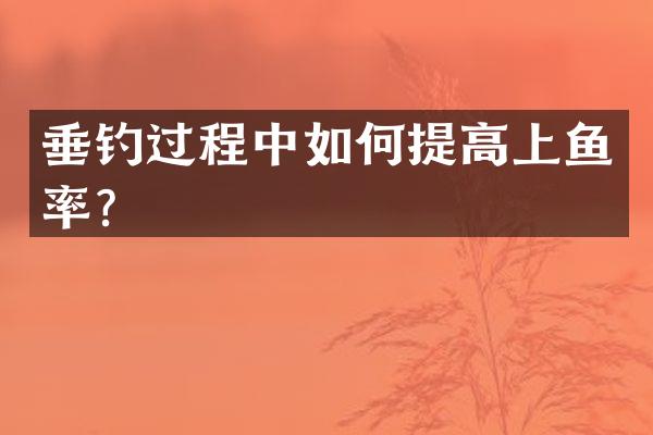 垂钓过程中如何提高上鱼率？