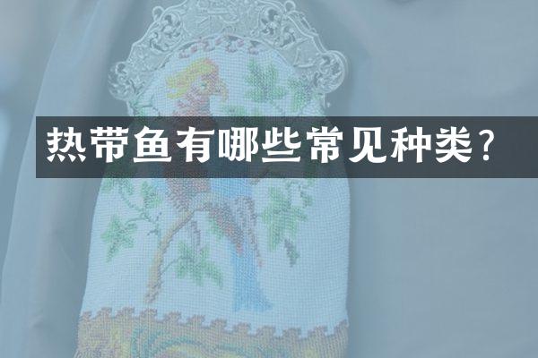 热带鱼有哪些常见种类？