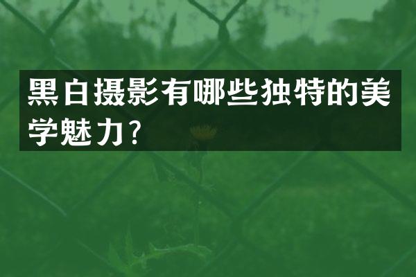 黑白摄影有哪些独特的美学魅力？