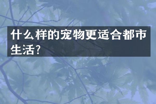什么样的宠物更适合都市生活？