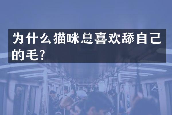 为什么猫咪总喜欢舔自己的毛？