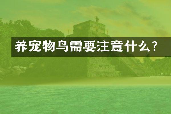 养宠物鸟需要注意什么？