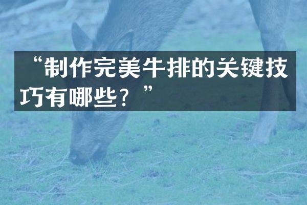 “制作完美牛排的关键技巧有哪些？”