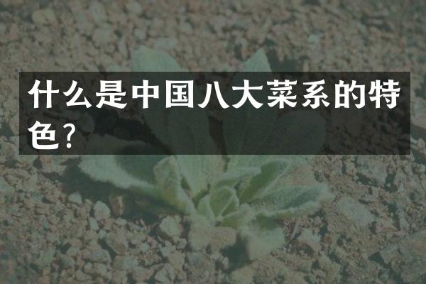 什么是中国八大菜系的特色？