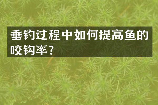 垂钓过程中如何提高鱼的咬钩率？