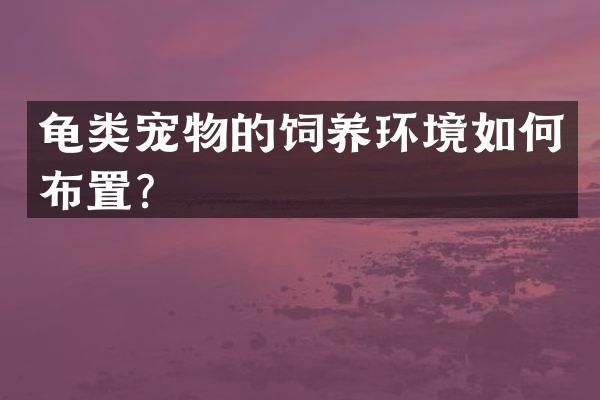 龟类宠物的饲养环境如何布置？