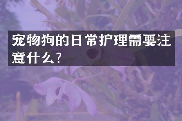 宠物狗的日常护理需要注意什么？