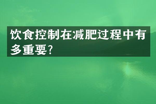 饮食控制在减肥过程中有多重要？