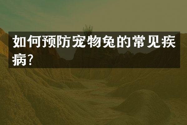 如何预防宠物兔的常见疾病？