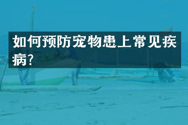 如何预防宠物患上常见疾病？
