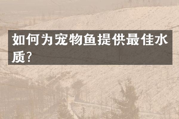 如何为宠物鱼提供最佳水质？