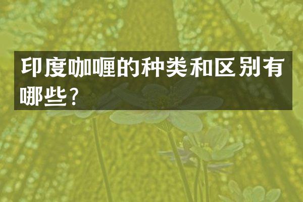 印度咖喱的种类和区别有哪些？