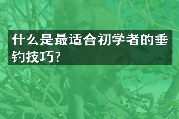 什么是最适合初学者的垂钓技巧？