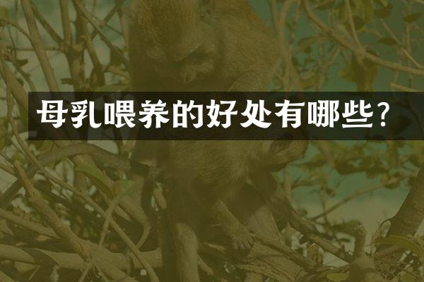 母乳喂养的好处有哪些？