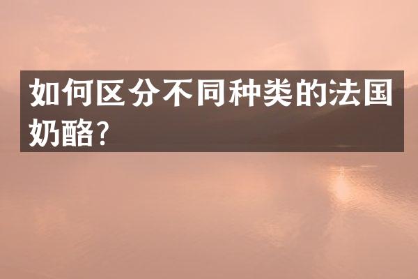 如何区分不同种类的法国奶酪？