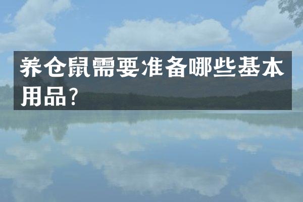 养仓鼠需要准备哪些基本用品？
