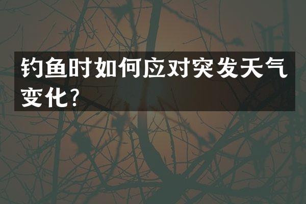 钓鱼时如何应对突发天气变化？