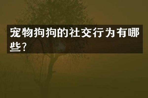 宠物狗狗的社交行为有哪些？