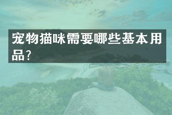 宠物猫咪需要哪些基本用品？