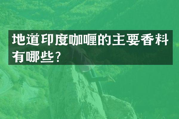 地道印度咖喱的主要香料有哪些？