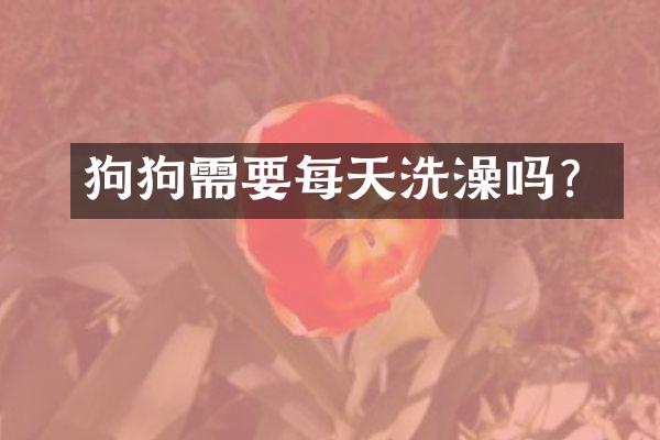 狗狗需要每天洗澡吗？