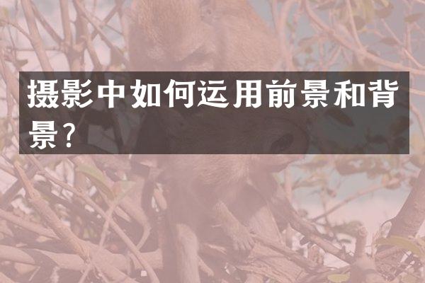 摄影中如何运用前景和背景？