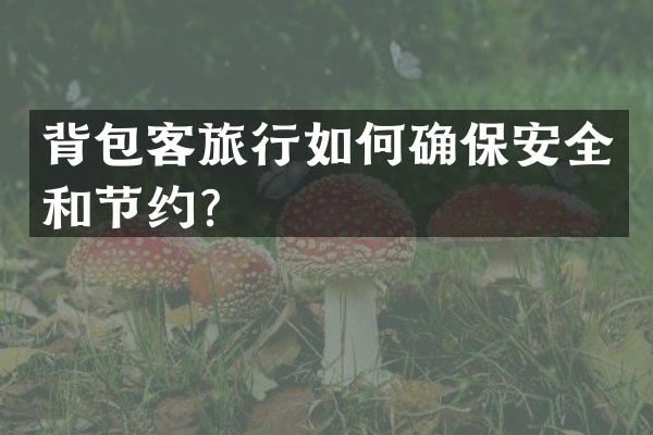 背包客旅行如何确保安全和节约？