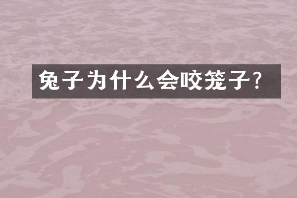 兔子为什么会咬笼子？
