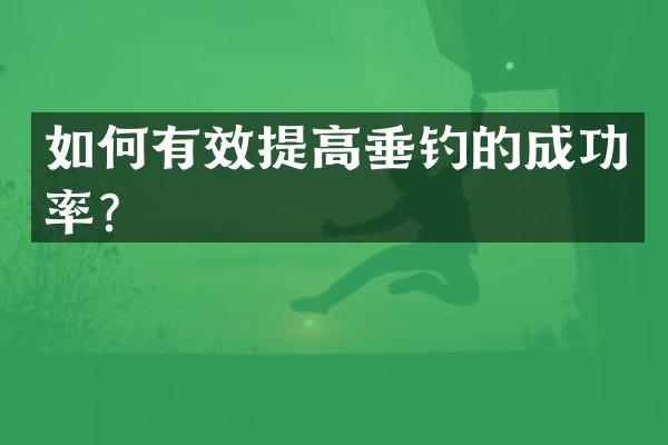 如何有效提高垂钓的成功率？