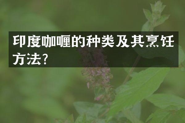 印度咖喱的种类及其烹饪方法？