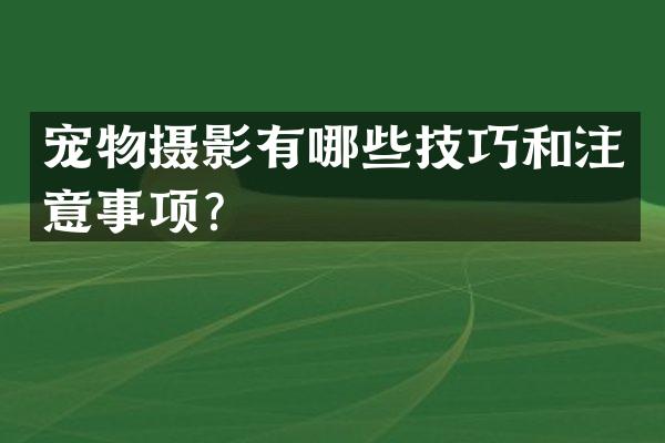 宠物摄影有哪些技巧和注意事项？