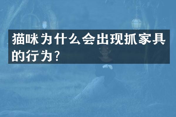 猫咪为什么会出现抓家具的行为？