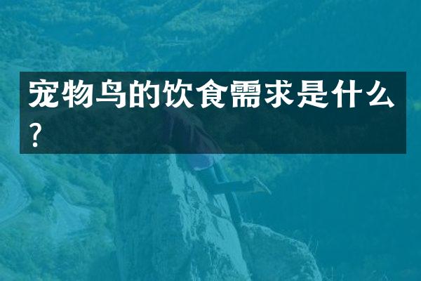 宠物鸟的饮食需求是什么？