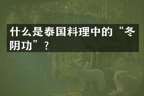 什么是泰国料理中的“冬阴功”？