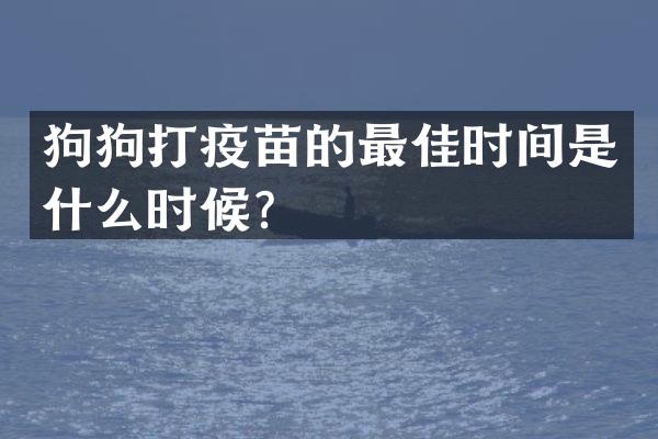 狗狗打疫苗的最佳时间是什么时候？