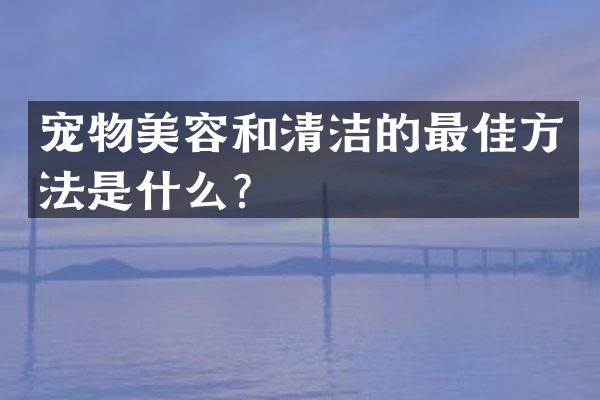 宠物美容和清洁的最佳方法是什么？