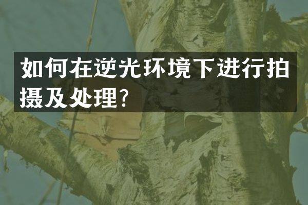 如何在逆光环境下进行拍摄及处理？