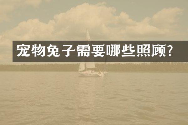宠物兔子需要哪些照顾？